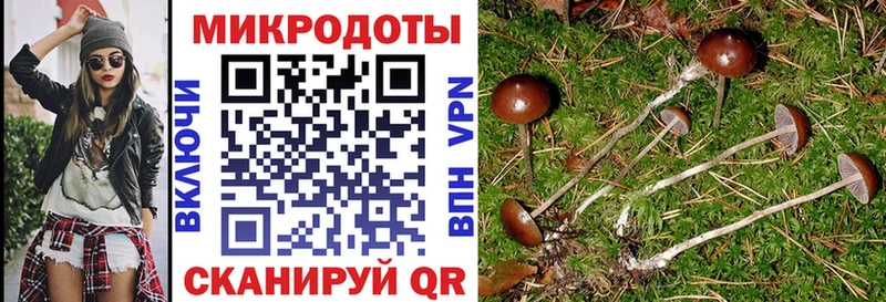 где продают наркотики  Оса  Галлюциногенные грибы ЛСД 